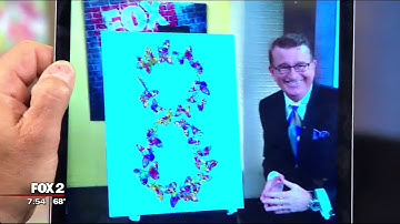 Artist Tim Yanke Appears on Detroit