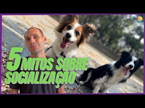 Vídeo: A verdade por trás de 5 mitos do cão