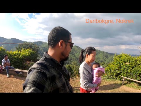 ผลสลากกินแบ่งรัฐบาล วันที่ 1 พย. 2567