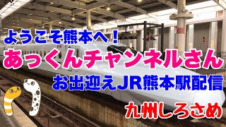 JR熊本駅あっくんチャンネルさんお出迎え配信【九州しろさめ】