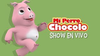 MI PERRO CHOCOLO - CANCIONES INFANTILES - PNCHO EL CHANCHO EN VIVO