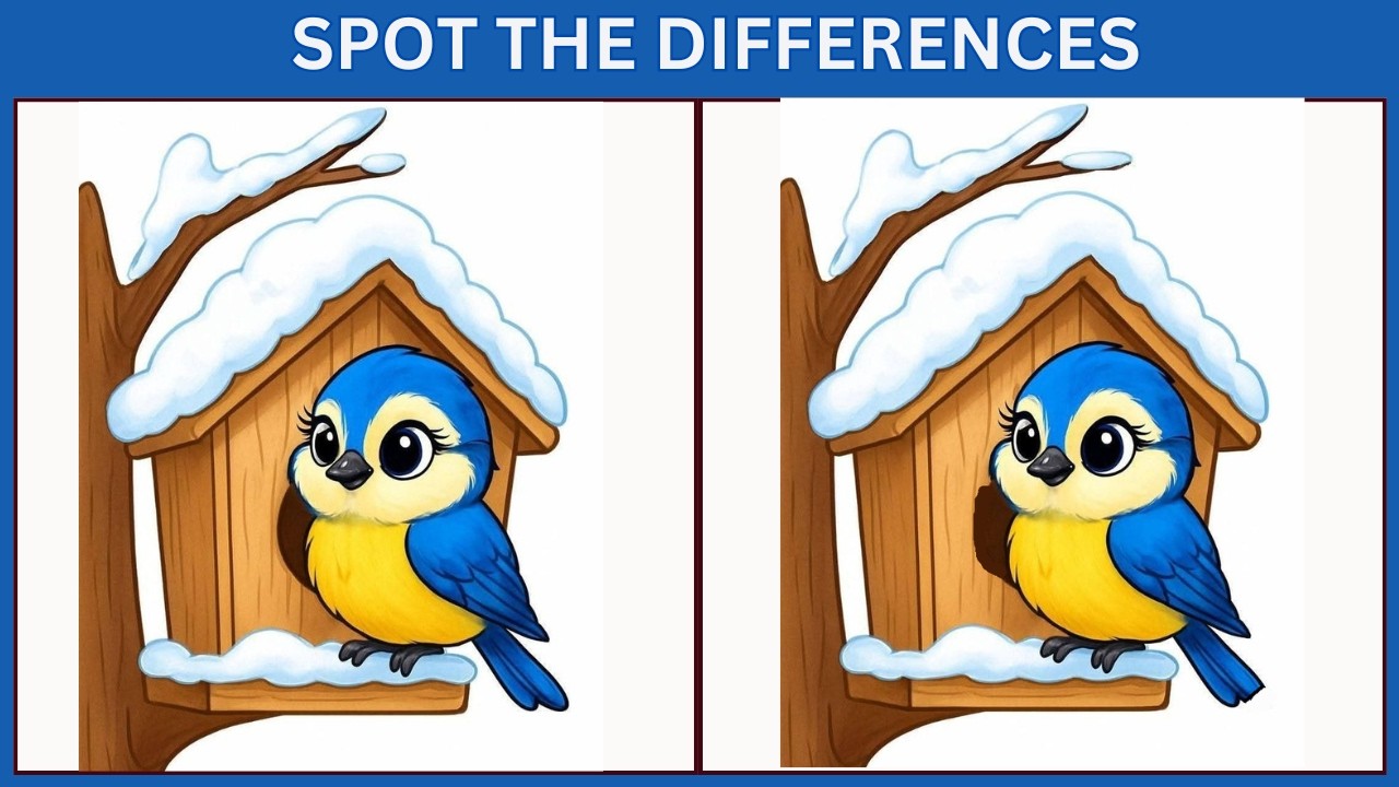 Spot the 3 Differences | 10 Brain Teasers to Test Your IQ  🔍
