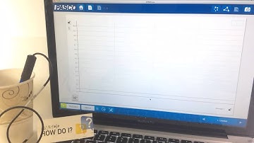 Collect Data in a Bar Graph (SPARKvue)