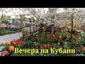 Вечера в Гостагаевской. Где-то под Анапой