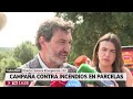 ¿Por qué no deberías plantar arizónicas en tu parcela?