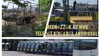 Selejtezett Ikarusok, Rábák És Ma Is Használt Járművek Az Mvk Telepén
