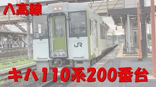 JR八高線　キハ110系200番台　気動車　小川町駅　ボタンで開閉　走行シーン　■じゅきチャンネル■電車■高画質■