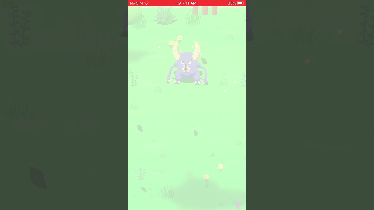 I Found A Shiny Pinsir In My Sleep 