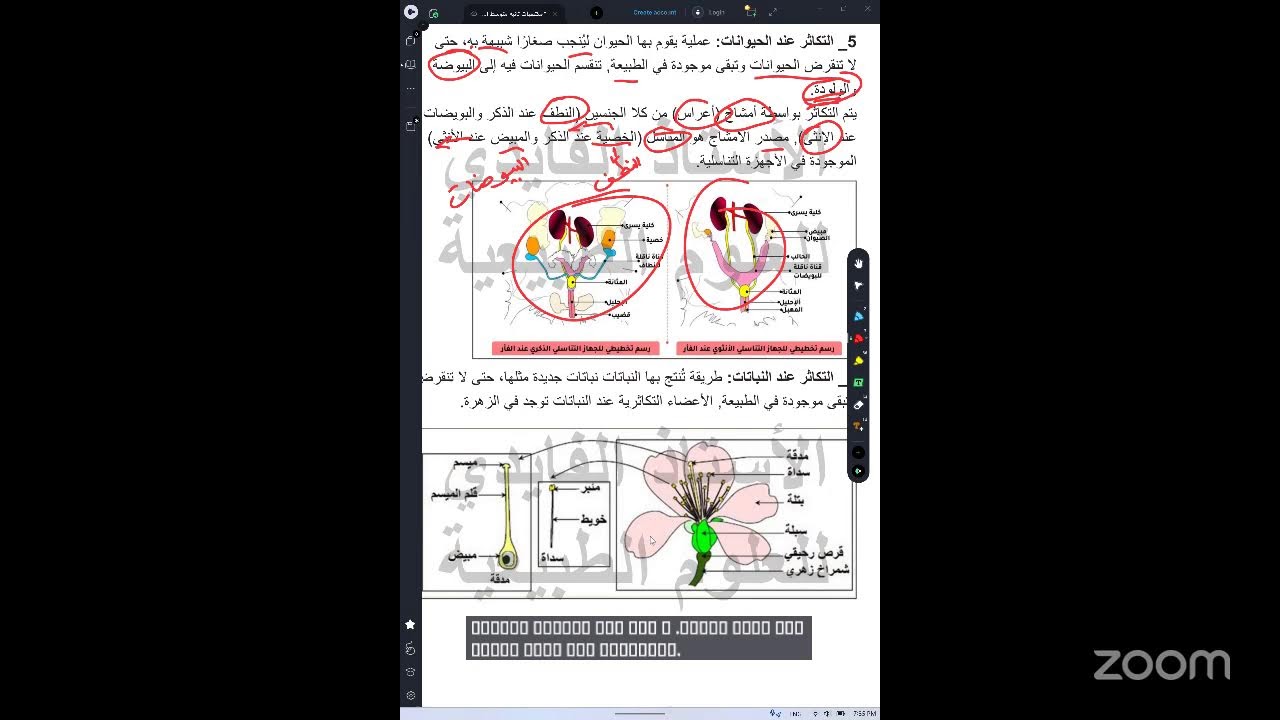 الثانية متوسط المكتسبات القبلية