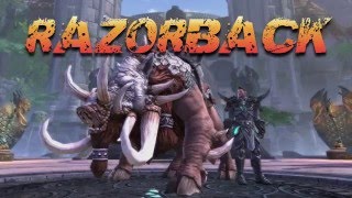 Razorback Roundup