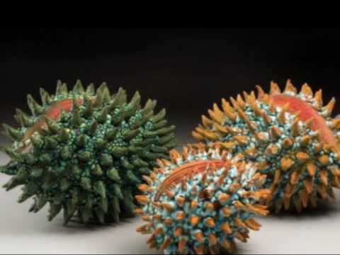 ceramics2 - YouTube