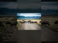 🤯 You Won't Believe Earth Can Do THIS: The Planet's Most Astonishing Phenomena! #Shorts