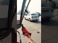 #ravi #vlog