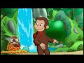Coco der Neugierige Affe | George spielt in der Natur | Cartoons f&uuml;r Kinder