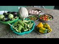 Super colheita orgânica de abóbora, quiabo, berinjela, pimentão amarelo, pimentas e ovos