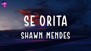 Shawn Mendes  Señorita (lyrics)