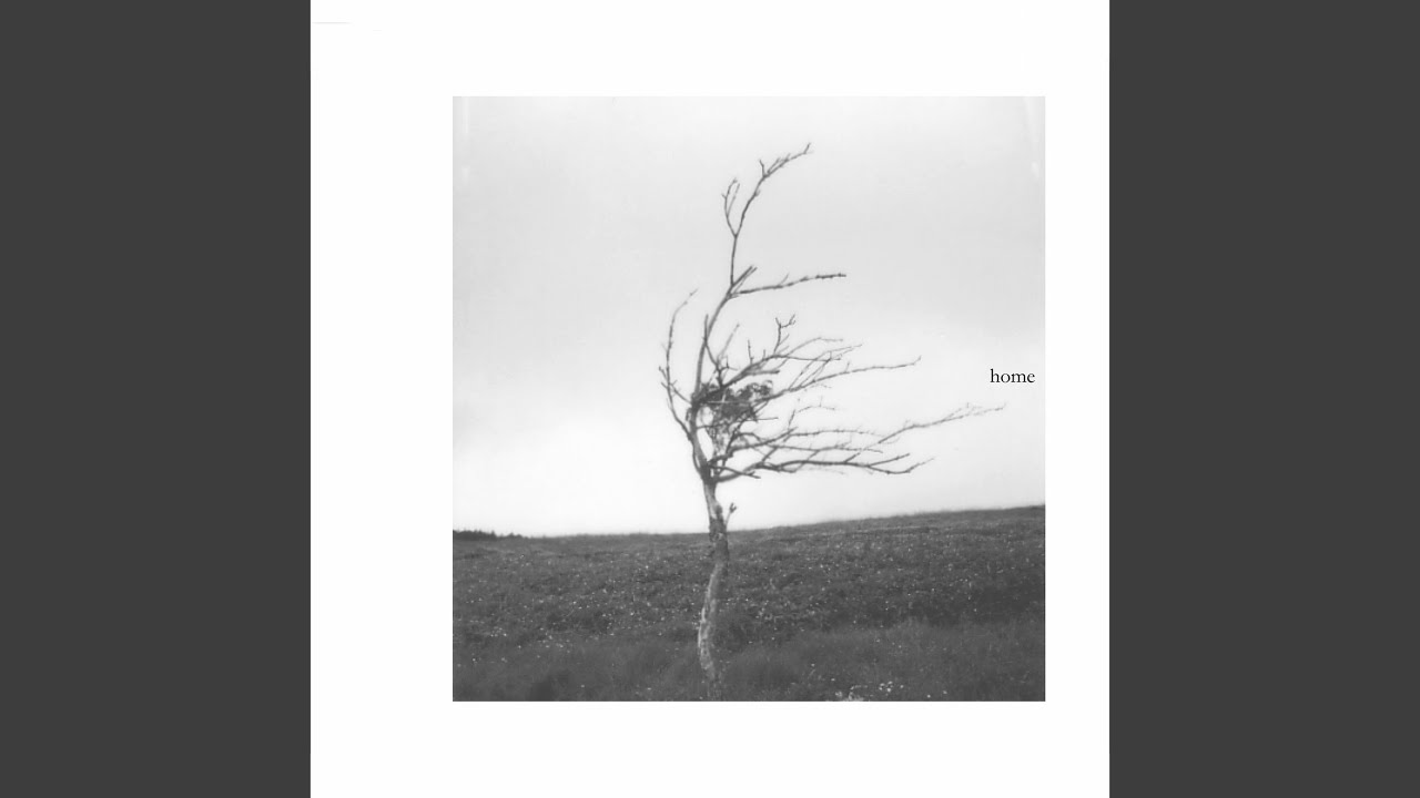 悲しき鳥 - YouTube