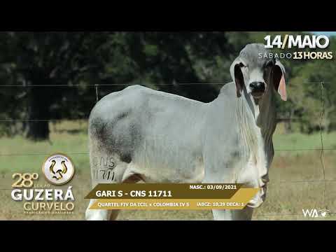 LOTE 16   CNS 11711