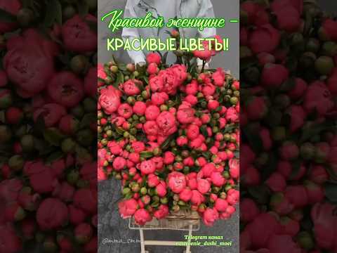 #длявасдрузья #красивойженщине #видеоролики #музыкальнаяоткрытка #доброеутрооткрытки