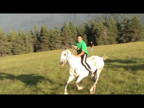 ჩიგლაურთა 2017,დოღის გამარჯვებული თორნიკე კახოიძე :)