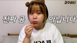 일주일 동안 곰처럼 살아봤습니다. 곰 다이어트! (1탄)