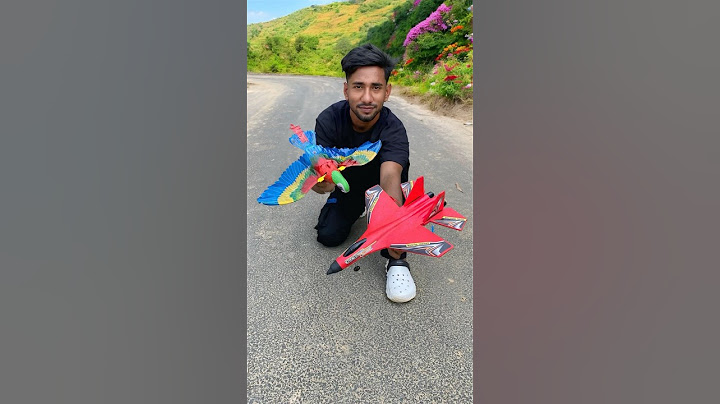 Electric flying parrot birds and Remote control Fighter Jet Flying Testing 🔥🚀