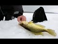 Ice Fishing Basin Crappies in Northern Minnesota - In Depth Outdoors TV S15 E12