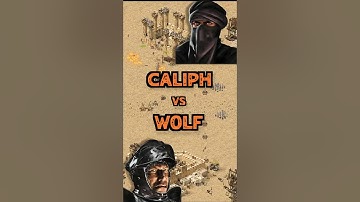 Caliph vs Wolf | Stronghold Crusader: DE #strongholdcrusader #gameplay #rts #fireflystudios