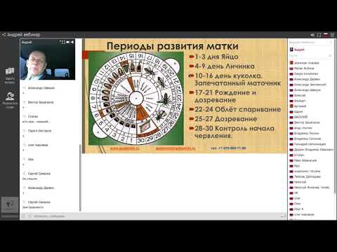 3 Пчеловодство для начинающих. Пчелиная семья - Матки, Трутни, Пчёлы