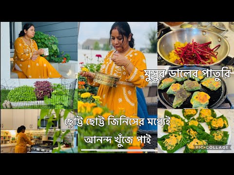 এখন ছোট ছোট জিনিসের মধ্যেই বেশি আনন্দ খুঁজে পাই || বাগানের কুমড়োশাক তুলে বানালাম মুসুরডালের পাতুরি