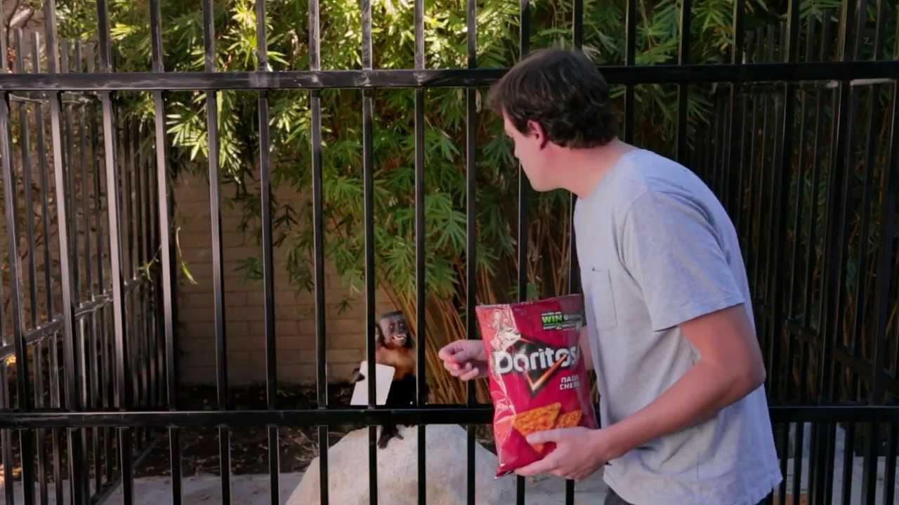 "Monkey Business" Doritos Crash The Superbowl Commercial