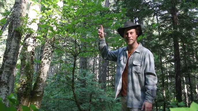 Кішкентай порно актрисалар