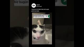 Veteriner Ali Hekim Bey Biz Bu Gün Gelemeyeceğiz.