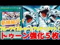 新規紹介！トゥーン強化５枚！青眼の究極竜がトゥーンに！召喚条件無視や妨害、一時除外で楽しく動ける！！！【遊戯王】