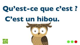 フランス語単語集ー動物２