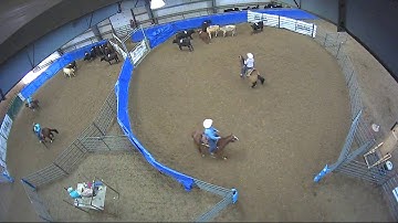Big Sky Ranch Sorting Saddle Series #4 - #9 HC SORT - Round #1 - Ride #46