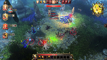 Divinity Original Sin bug