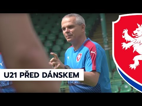 Vítězslav Lavička a Lukáš Zima před zápasem s Dánskem