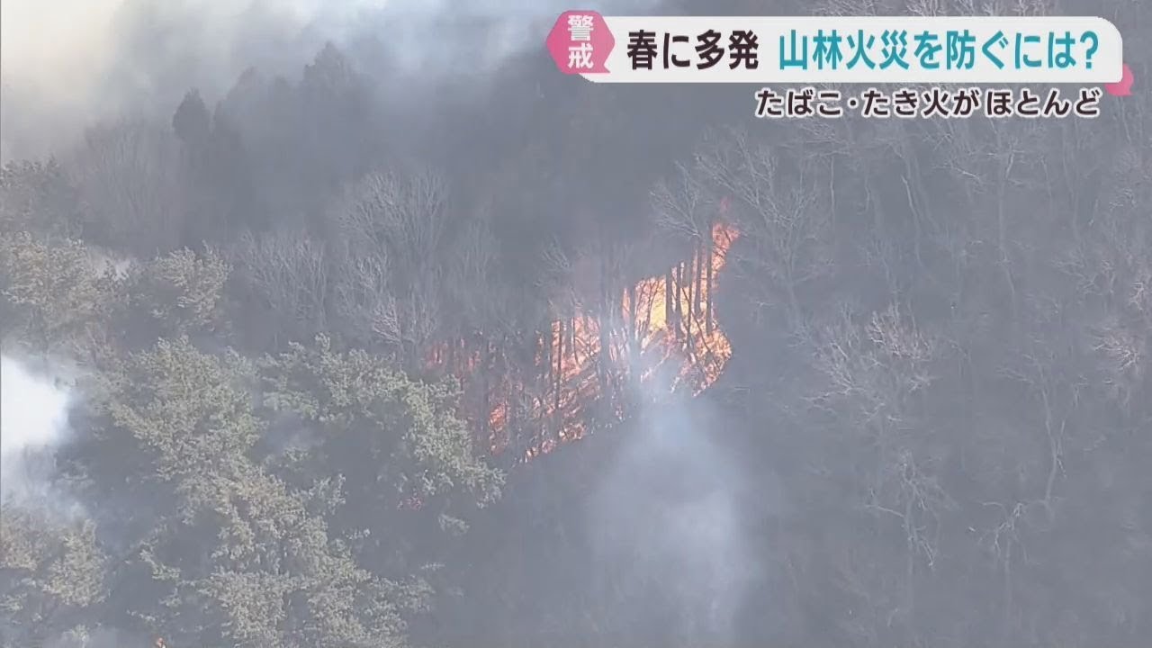 山火事を防ぐためには？ 宮城県の担当者に話を聞く「1人1人が自覚を