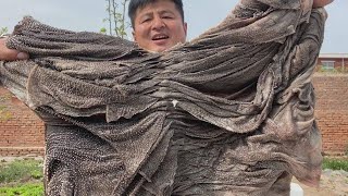 200元买了整个5斤的牛百叶，来做爆炒牛百叶，入口清脆，下酒硬菜