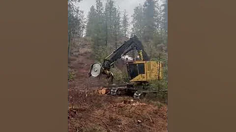 2017 Tigercat LX830D Feller Buncher