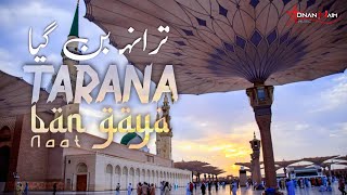 Tarana Ban Gaya - Ahmad Abdullah X Masum Billah - 2024 Urdu Naat