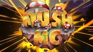 BANINDO HACKS #5 - Mush