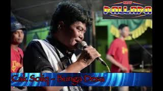 Bunga Desa - New Pallapa voc. Soliq irwansyah