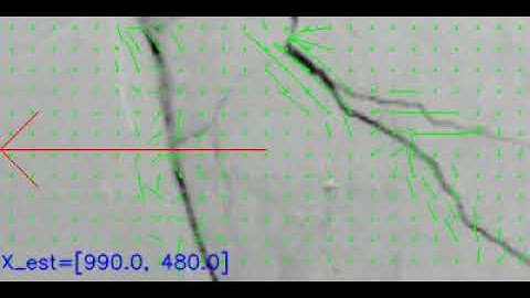 Video Motion Estimation using Phase Correlation for Crack Detection in Surfaces