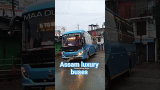 Maa Durga 🩵#bus #travel #assam #luxurybuses #youtubeshorts #vairelsort #buspremi #busvdo  #hilights