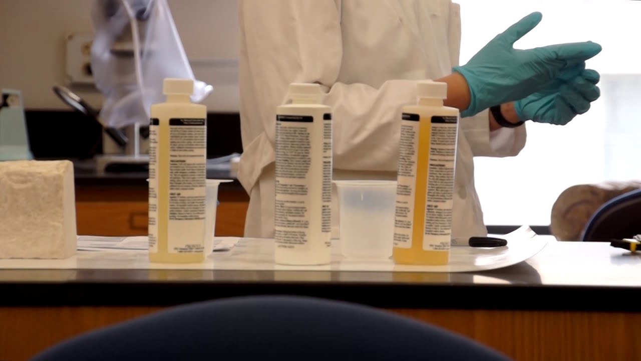 Conservation Lab - YouTube
