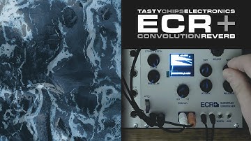 Tasty Chips Electronics - ECR+ Convolution Reverb