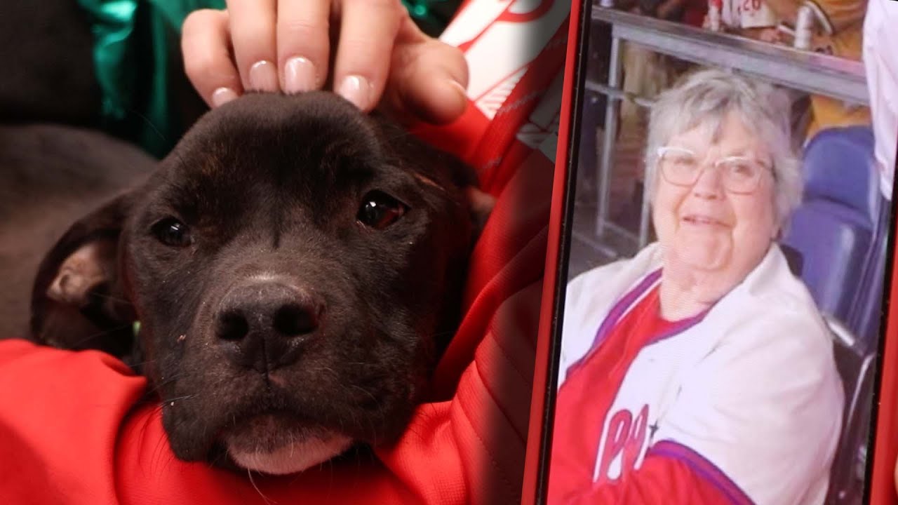 ‘Bette’s Triples’: Phillies fans make donations to PSPCA in memory of beloved mother