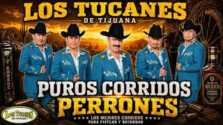 🔥 LOS TUCANES DE TIJUANA | Puros Corridos Perrones 🍻